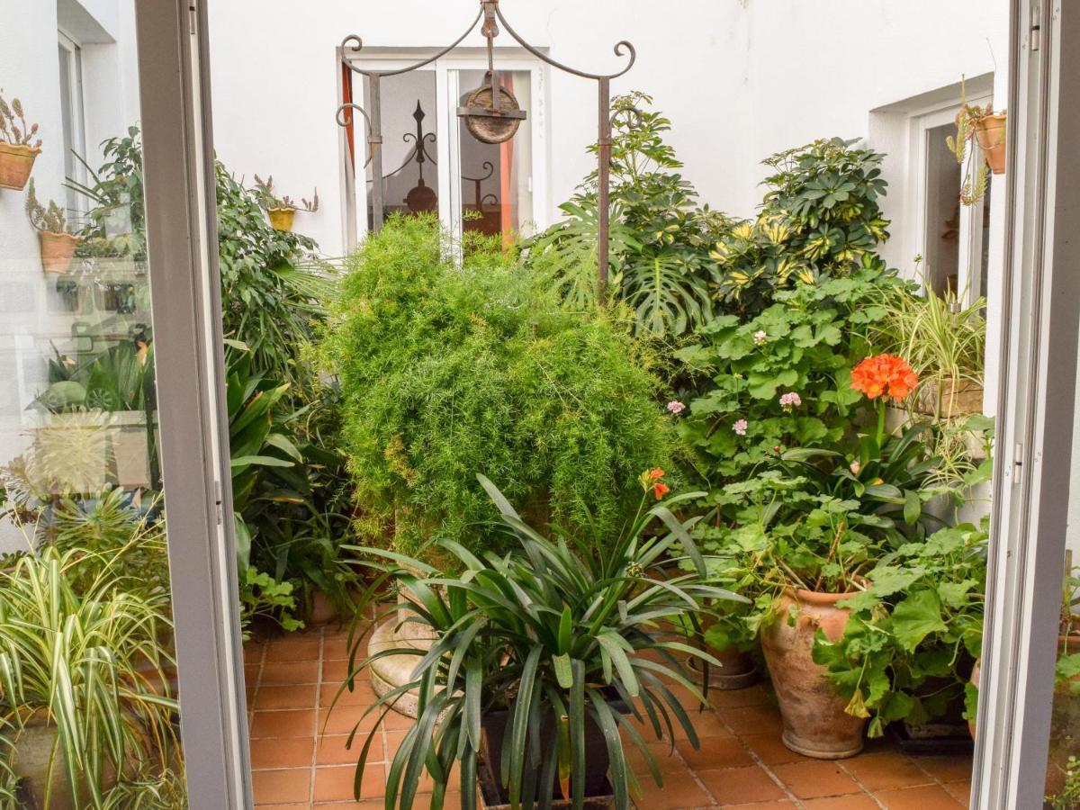 Appartement Alexia - Coral -
